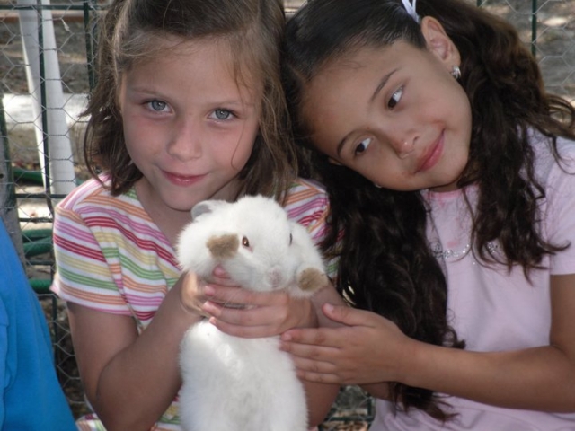Con los conejitos